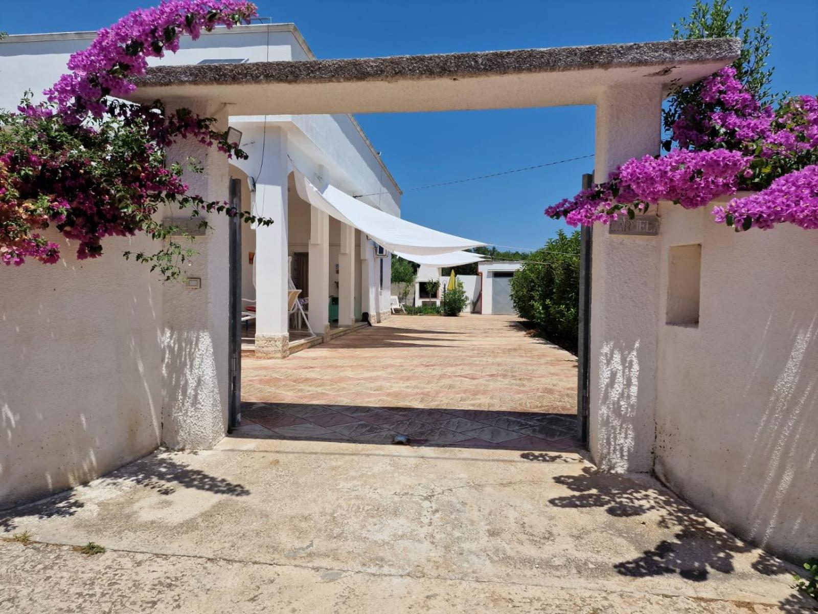 Villa Carmela A ซานเปียโตร อิน เบวานญา ภายนอก รูปภาพ